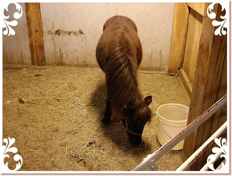 012 Indiana_20070414